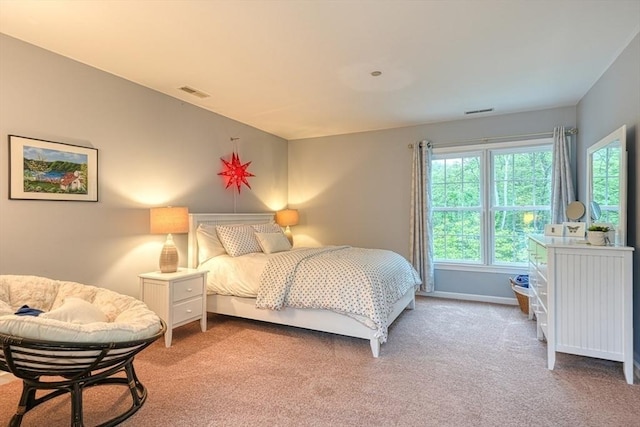 106 Willow Brook Dr Unit 106, Wayland, MA 01778 - bedroom featuring carpet and baseboards