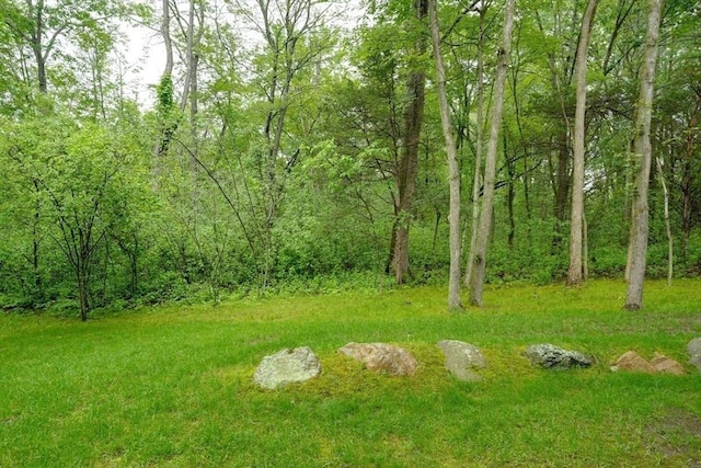106 Willow Brook Dr Unit 106, Wayland, MA 01778 - view of yard featuring a forest view