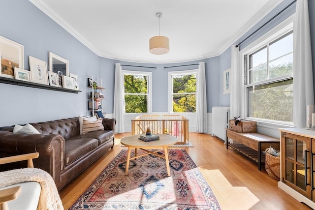 30 Welles Ave Unit 2, Boston, MA 02124 - living area with light wood-style floors, crown molding, and radiator heating unit