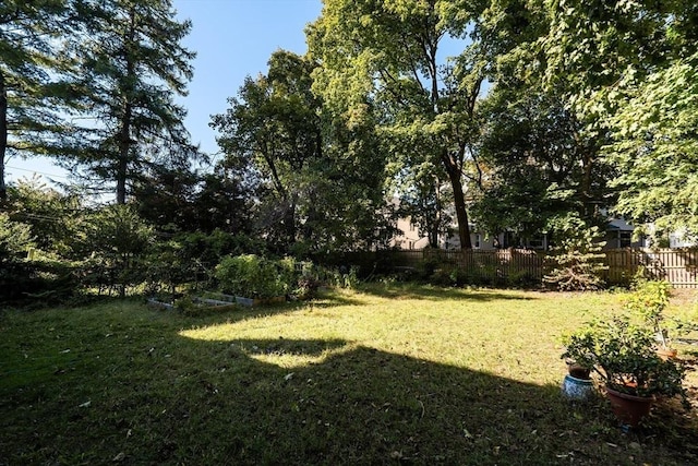 30 Welles Ave Unit 2, Boston, MA 02124 - view of yard with a vegetable garden