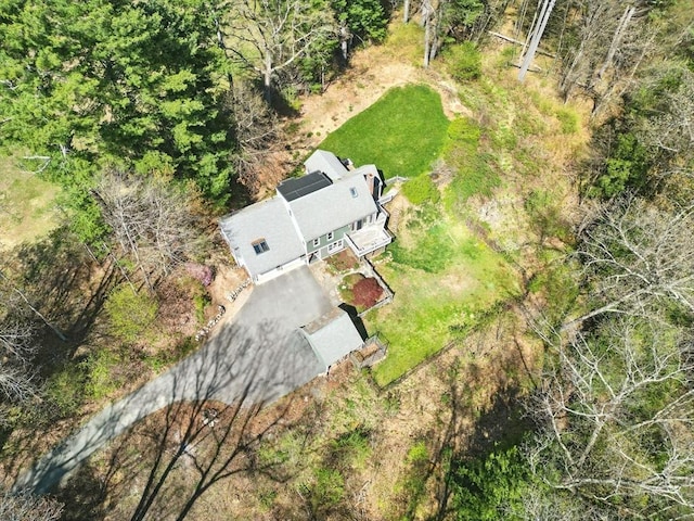bird's eye view