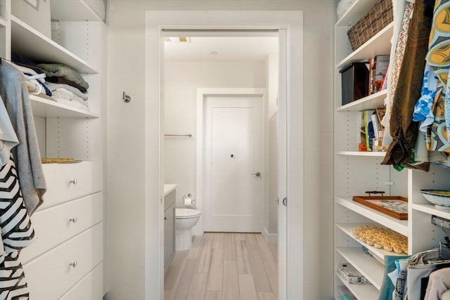 130 Broad Reach Unit 303, Weymouth, MA 02191 - walk in closet featuring light wood-style flooring