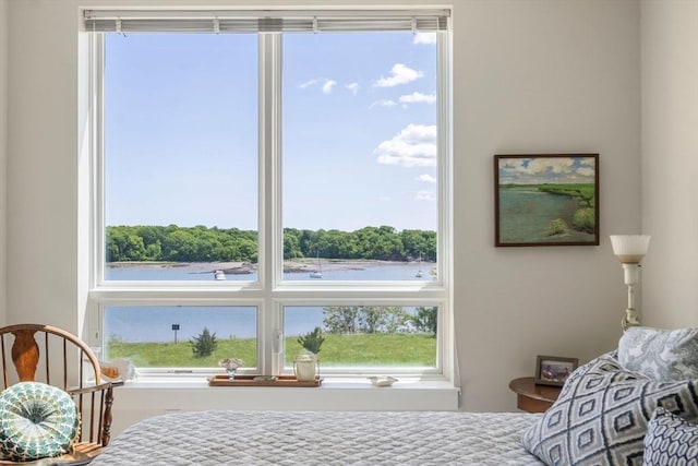 130 Broad Reach Unit 303, Weymouth, MA 02191 - bedroom with a water view and multiple windows