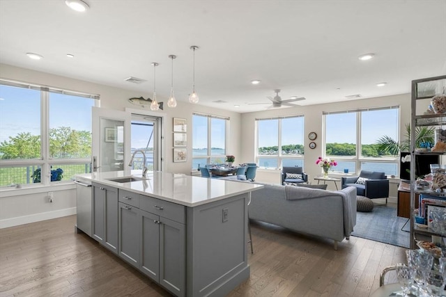 130 Broad Reach Unit 303, Weymouth, MA 02191 - kitchen with a sink, gray cabinets, dark wood-type flooring, stainless steel dishwasher, and a ceiling fan