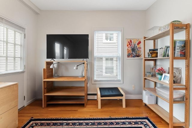 miscellaneous room with a healthy amount of sunlight, light hardwood / wood-style flooring, and a baseboard heating unit