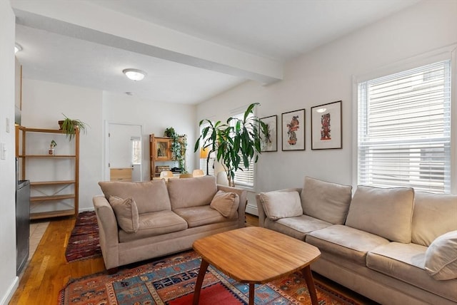 living room featuring beamed ceiling, wood-type flooring, and a wealth of natural light