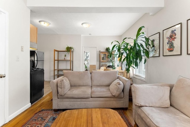 living room featuring light hardwood / wood-style flooring