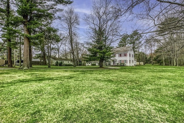 view of yard