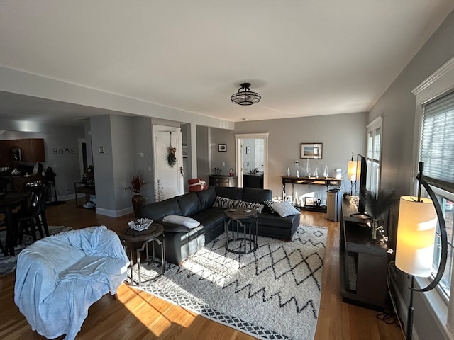 living room with hardwood / wood-style flooring