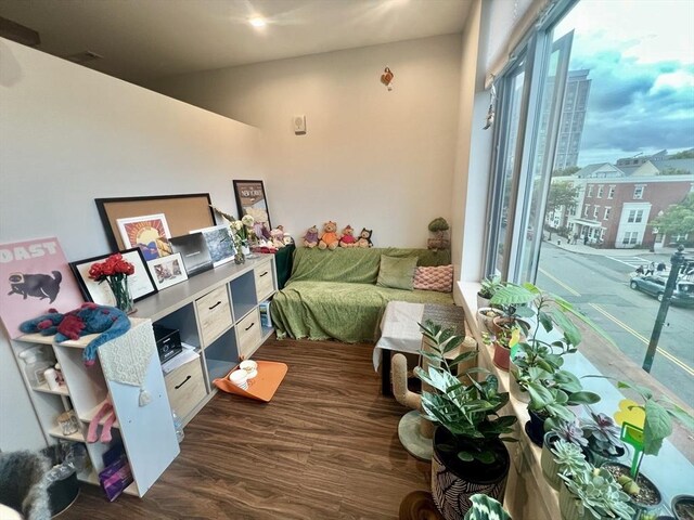99 Sumner St Unit 307, Boston, MA 02128 - bedroom with dark wood finished floors