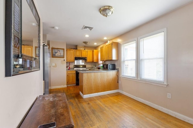 36-38 Priesing St, Boston, MA 02130 - kitchen featuring stainless steel appliances, under cabinet range hood, baseboards, light wood-style floors, and recessed lighting