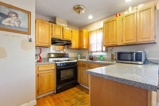 36-38 Priesing St, Boston, MA 02130 - kitchen with stainless steel microwave, black gas range oven, under cabinet range hood, a sink, and wood finished floors