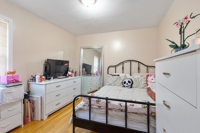 36-38 Priesing St, Boston, MA 02130 - bedroom featuring light wood-type flooring