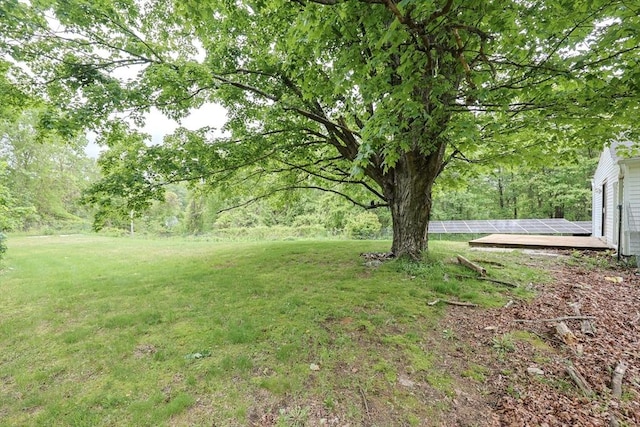 268 Wallace Hill Rd, Townsend, MA 01469 - view of green lawn