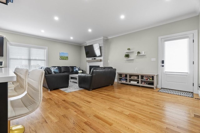 33 Peirce St Unit 1, Waltham, MA 02453 - living area with ornamental molding, light wood-style flooring, recessed lighting, and a fireplace