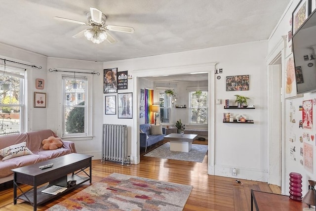 136-138 N St, Somerville, MA 02144 - living room featuring a ceiling fan, radiator, wood finished floors, and a healthy amount of sunlight