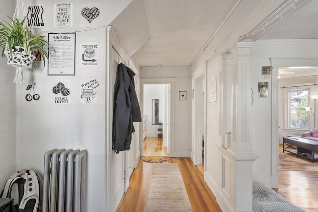 136-138 N St, Somerville, MA 02144 - corridor with radiator and light wood-type flooring