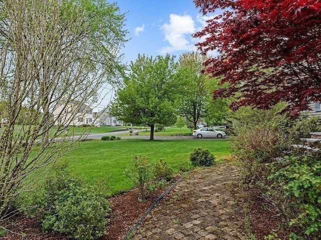 230 Plain, Taunton, MA 02780 - view of grassy yard