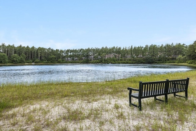 property view of water