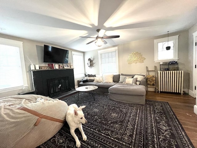 living area with wood finished floors, a ceiling fan, radiator, a healthy amount of sunlight, and a fireplace with raised hearth