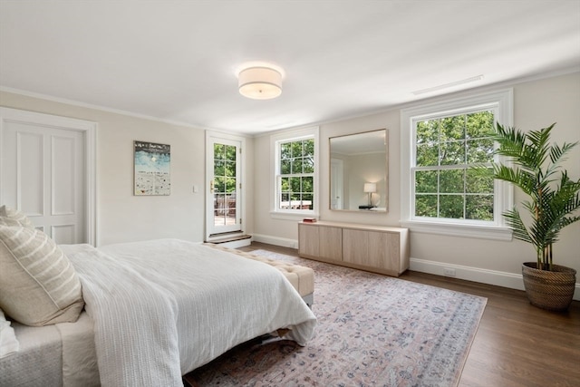 bedroom with access to exterior, radiator, multiple windows, and hardwood / wood-style flooring