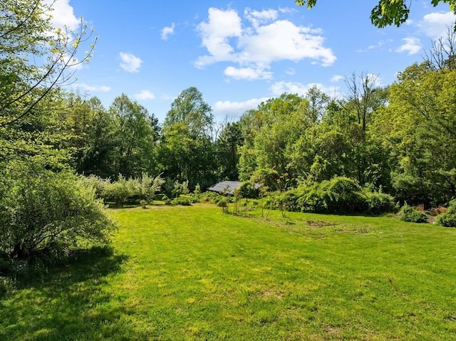 view of green lawn