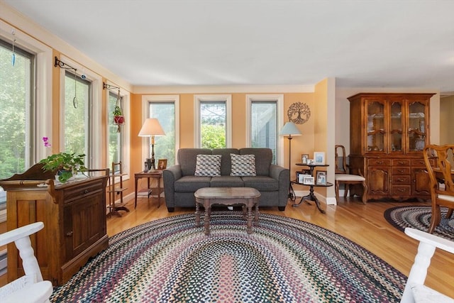 128 S Sea Ave, Yarmouth, MA 02673 - living area with light wood-style flooring