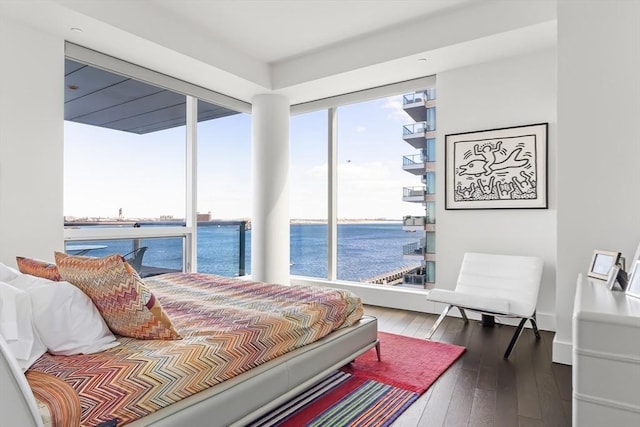 bedroom featuring multiple windows, a water view, and wood-type flooring