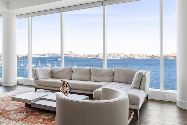 living area featuring wood finished floors and a water view