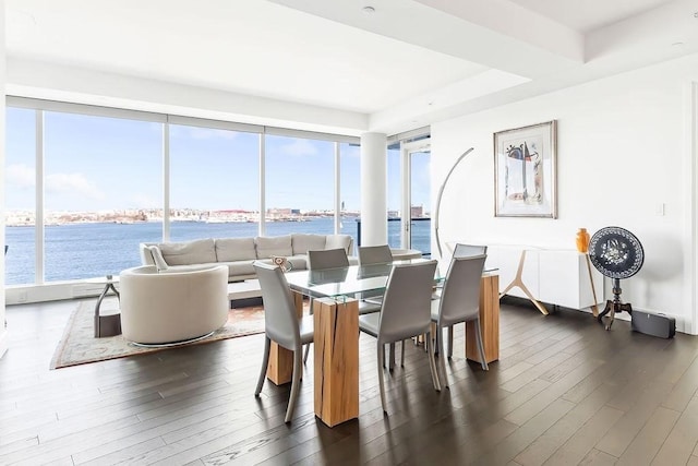 dining room featuring dark wood finished floors, a tray ceiling, and a water view