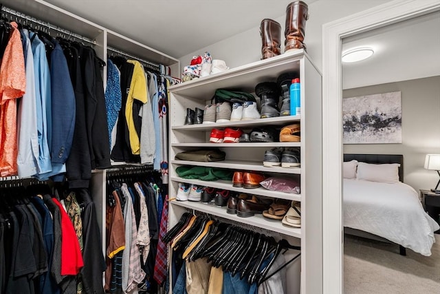 spacious closet featuring carpet floors