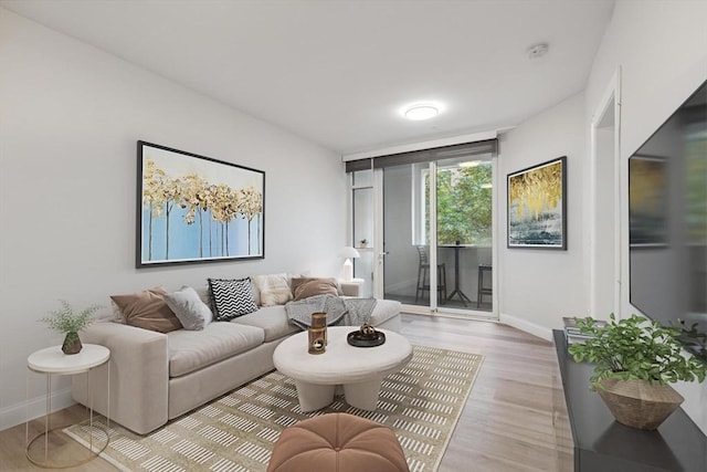 living room featuring light hardwood / wood-style flooring