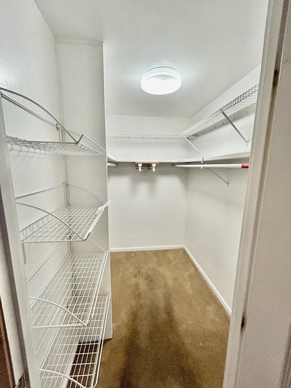 97 Anderer Ln Unit 105, Boston, MA 02132 - spacious closet featuring carpet floors