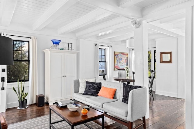 living room featuring dark hardwood / wood-style flooring and beam ceiling