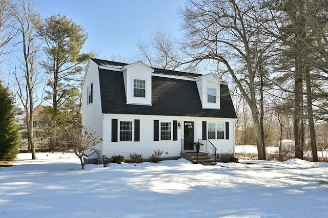 view of cape cod house