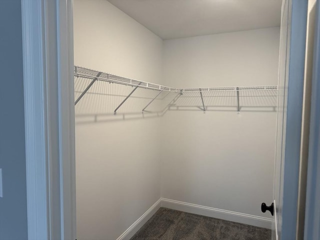 spacious closet featuring dark colored carpet