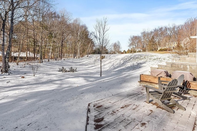 view of yard covered in snow