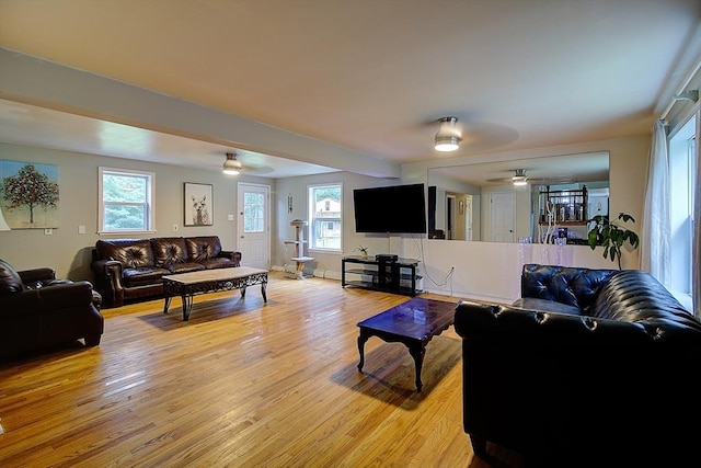 living room with light wood-type flooring and ceiling fan