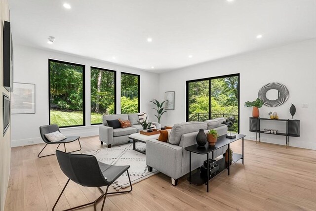 17 Prospect Hill Rd, Lexington, MA 02420 - living room featuring plenty of natural light, light wood finished floors, recessed lighting, and baseboards