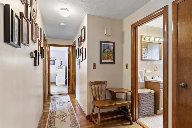 8 Janis Ter, Woburn, MA 01801 - corridor with light wood finished floors and baseboards
