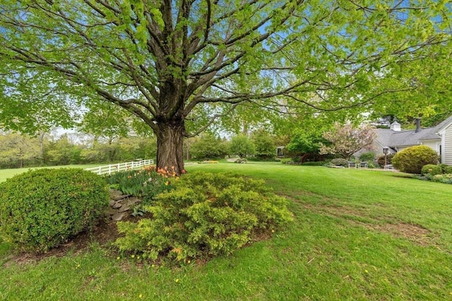 38 Bullard St, Sherborn, MA 01770 - view of yard