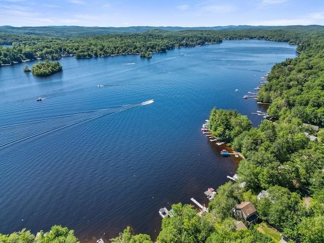 236 Ridge Ave, Otis, MA 01253 - aerial view of a heavily wooded area and a large body of water