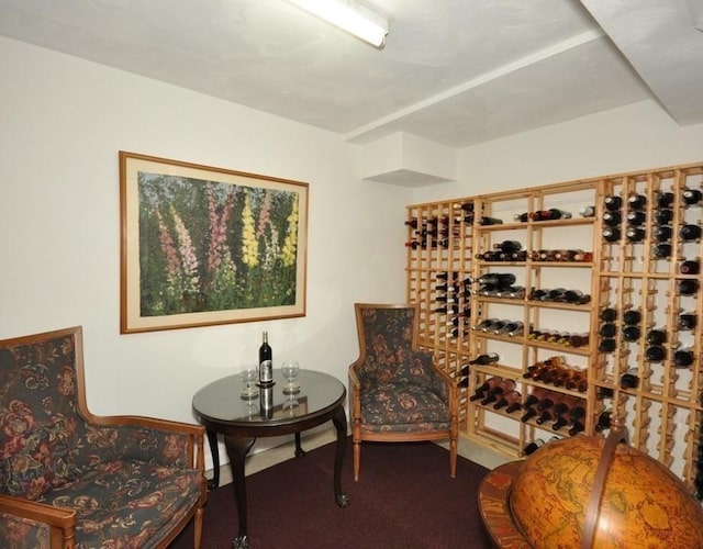 43 Old Concord Rd, Lincoln, MA 01773 - wine room with carpet floors