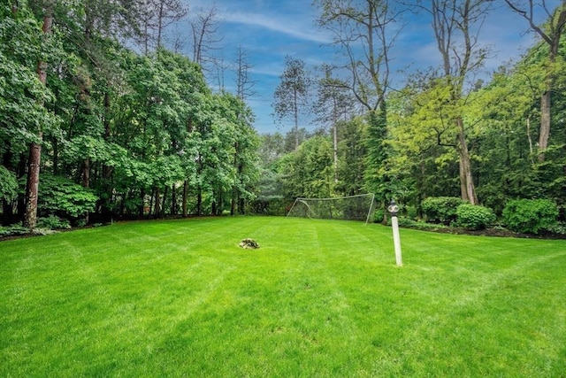 43 Old Concord Rd, Lincoln, MA 01773 - view of yard