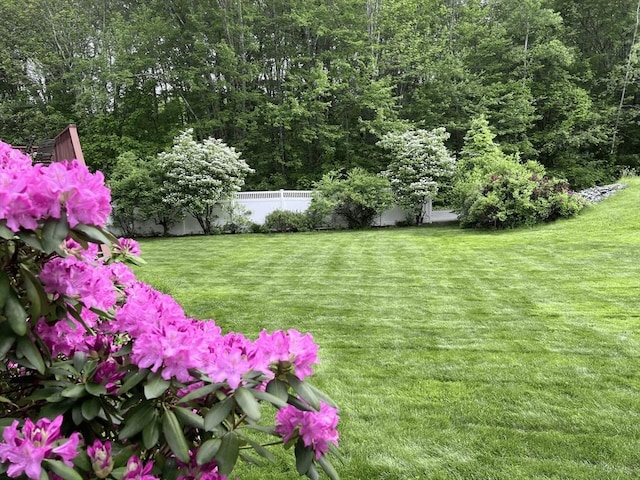 356 Grafton St, Shrewsbury, MA 01545 - view of yard