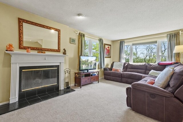 34 S Riverview St, Haverhill, MA 01835 - carpeted living area featuring a glass covered fireplace and a textured ceiling