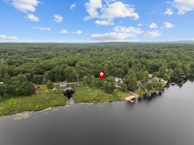 67 Elliott Ave, Dracut, MA 01826 - aerial view of property's location with a heavily wooded area and a large body of water