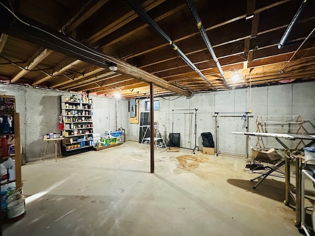 basement with electric panel