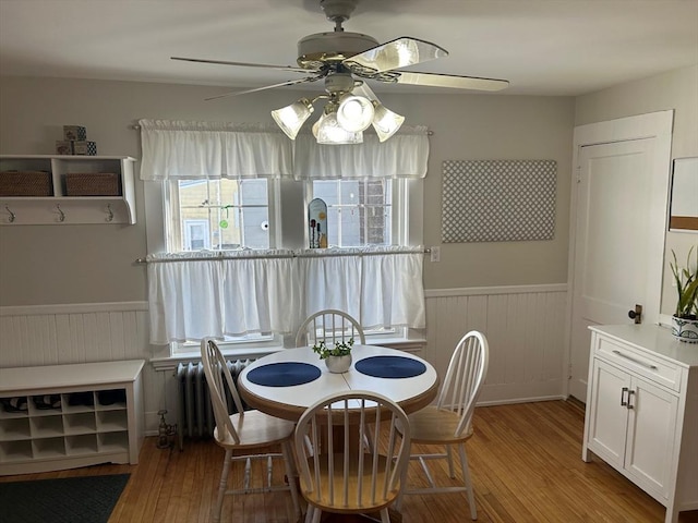 dining space featuring radiator heating unit, light wood-style flooring, a ceiling fan, and wainscoting