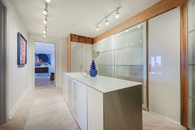 hall featuring light hardwood / wood-style floors and track lighting